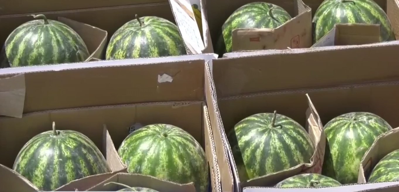 Uzbekistan updated the annual record for the export of watermelon - in just two months of season